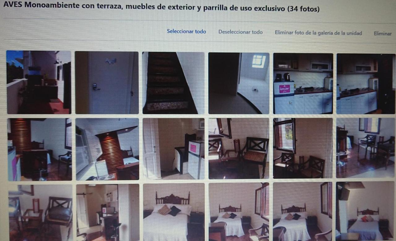 534 Petit San Telmo - Studio & Suites Buenos Aires Bagian luar foto